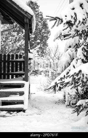 Holzveranda, Türschwelle, Treppen, nach einem Schneesturm im Winter mit Schnee bedeckt Stockfoto