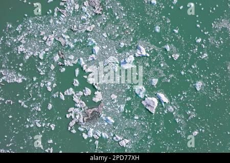 Luftaufnahme des schwimmenden Drifteises/Eisbergs im Recherche Fjord, von Recherchebreen, Gletscher im Wedel Jarlsberg Land, Spitsbergen/Svalbard Stockfoto