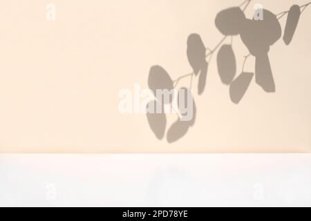 Setzen Sie Schatten auf die Wand in neutraler Farbe. Hinterlässt einen schattierten Hintergrund. Äste, Blumen und Laub auf pastellfarbenem Studiohintergrund. Produktpräsentation, Minima Stockfoto