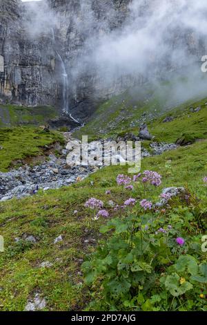 Typische Alpenlandschaft mit Wasserfällen, Schweizer Alpen bei Klausenstraße, Spiringen, Kanton Uri, Schweiz Stockfoto