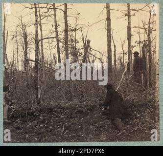 Bäume zerschmettert durch Artillerie Feuer auf der Südseite der Plank Road, nahe der Stelle, wo General Stonewall Jackson erschossen wurde. Ist Teil der Fotosammlung des Bürgerkriegs, Gift; Oberst Godwin Ordway; 1948. Chancellorsville, Schlacht von, Chancellorsville, VA, 1863, USA, Geschichte, Bürgerkrieg, 1861-1865, Kampagnen und Schlachten, Virginia, Chancellorsville. Stockfoto