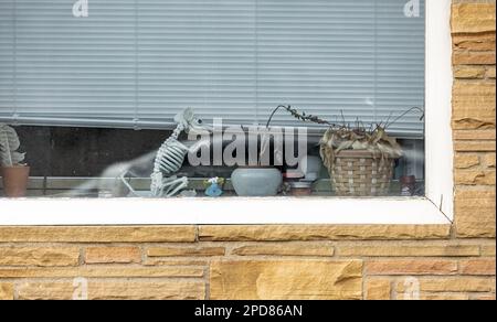 Seltsame Anordnung von Gegenständen in einer Fensterbank Stockfoto