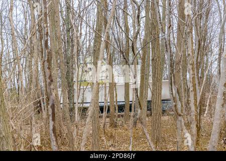 Große Motoryacht mitten im Wald Stockfoto