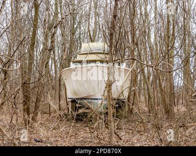 Große Motoryacht mitten im Wald Stockfoto