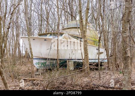 Große Motoryacht mitten im Wald Stockfoto