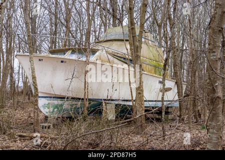 Große Motoryacht mitten im Wald Stockfoto