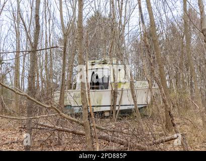 Große Motoryacht mitten im Wald Stockfoto