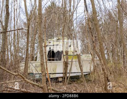 Große Motoryacht mitten im Wald Stockfoto