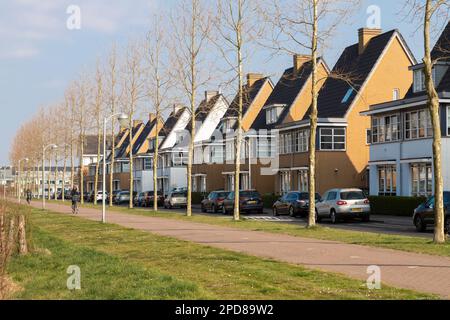 Neue moderne Wohngebäude im Stadtteil Vathorst in Amersfoort. Stockfoto