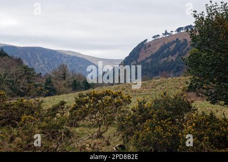 Die Kapelle des Heiligen Kevin von einem Hügel aus gesehen, in Glendalough, Grafschaft Wicklow, Irland Stockfoto