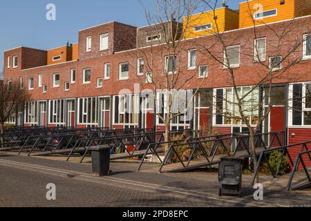 Neue moderne, farbenfrohe Wohngebäude im Vathorst-Viertel mit einer schmalen Fußgängerbrücke vor jedem Haus. Stockfoto