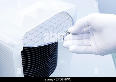 Eine Charge Silizium-Wafer, verpackt in einer Kunststoffbox im Reinraum einer Halbleitergießerei, bereit für die Mikrochip-Produktion. Stockfoto