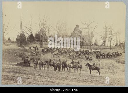 Artillerie-Einheit der Union, die mit Pferden und Kanonen posiert. Titel erfunden von Bibliothekspersonal, Gift; Oberst Godwin Ordway; 1948. Usa, Geschichte, Bürgerkrieg, 1861-1865. Stockfoto