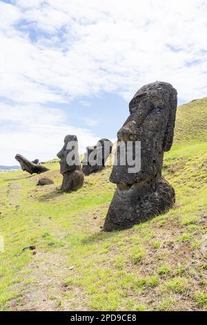 Moai-Statuen am Hang des Rano Raraku auf der Osterinsel (Rapa Nui), Chile. Stockfoto