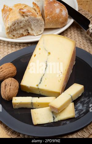 Käsesammlung, halbweicher Kuhmilchkäse von French Morbier mit schwarzer Schimmelschicht Stockfoto
