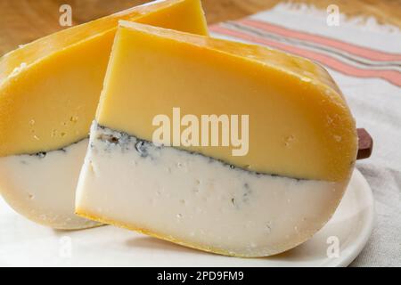 Farbenfroher doppelter holländischer Käse, Hartkäse aus Kuhmilch und Ziegenmilch mit schwarzer Schimmelschicht im Inneren, Nahaufnahme Stockfoto