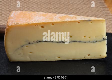 Käsesammlung, halbweicher Kuhmilchkäse von French Morbier mit schwarzer Schimmelschicht Stockfoto