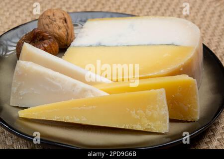 Farbenfroher doppelter holländischer Käse, Hartkäse aus Kuhmilch und Ziegenmilch mit schwarzer Schimmelschicht im Inneren, Nahaufnahme Stockfoto