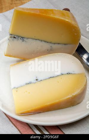 Farbenfroher doppelter holländischer Käse, Hartkäse aus Kuhmilch und Ziegenmilch mit schwarzer Schimmelschicht im Inneren, Nahaufnahme Stockfoto