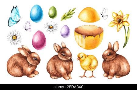 Aquarell Osterset mit Osterhasen, Küken, farbigen Eiern, Blumen, Schmetterlingen auf Weiß. Isolierte Darstellung. Ostern für die Gestaltung von Feiertagen Stockfoto