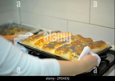 Kuchen mit Mohnsamen backen. Eine Frau bereitet den Kuchen vor und legt ihn in den Ofen. Frisches Gebäck im Ofen gebacken. Hochwertiges Foto Stockfoto