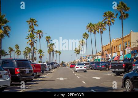 Von Palmen gesäumte Straße in Kalifornien Stockfoto