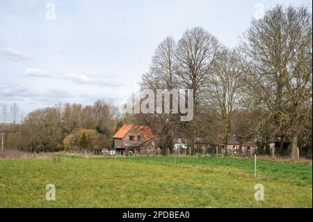 Grüne Wiesen und landwirtschaftliche Felder mit Bauernhäusern im Hintergrund im Frühling rund um Ternat, Flämisch-Brabant, Belgien Stockfoto