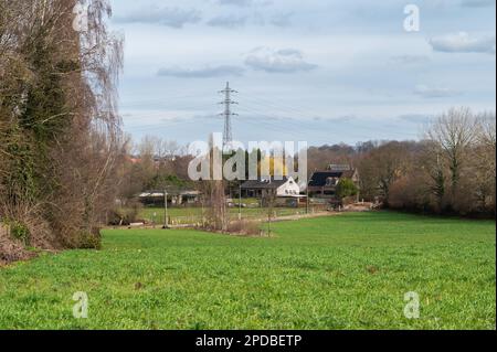 Grüne Wiesen und landwirtschaftliche Felder mit Bauernhäusern im Hintergrund im Frühling rund um Ternat, Flämisch-Brabant, Belgien Stockfoto