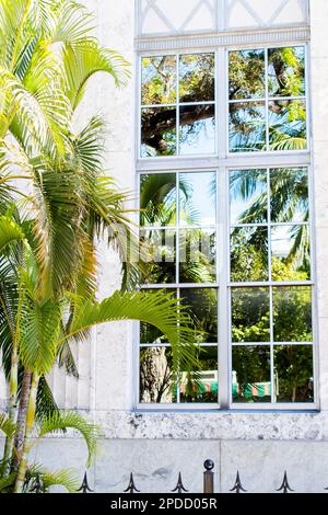 Eine tropische Palme und ein sonniger Himmel spiegeln sich wunderbar im Fenster eines Gebäudes in Key West, Florida, wider Stockfoto