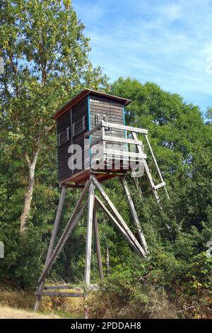 Erhöhte Haut am Waldrand, Deutschland Stockfoto