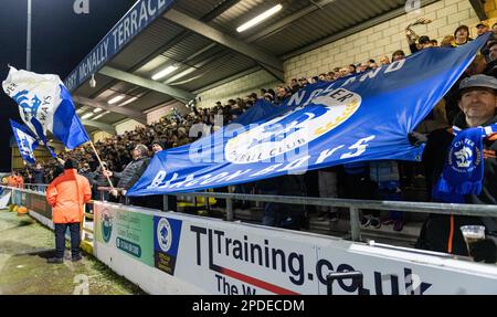 Chester, Cheshire, England. 14. März 2023 Chester-Fans vor dem Anstoß während des Chester Football Club V Peterborough Sports Football Club im Deva Stadium in der National League North (Bild: ©Cody Froggatt/Alamy Live News) Stockfoto