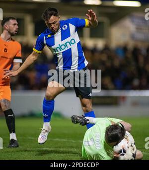 Chester, Cheshire, England. 14. März 2023 Chester's Kurt Willoughby springt vom Peterborough Sports Goal Keeper Peter Crook, während Chester Football Club V Peterborough Sports Football Club im Deva Stadium, in der National League North (Kreditbild: ©Cody Froggatt/Alamy Live News) Stockfoto