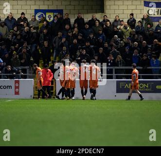 Chester, Cheshire, England. 14. März 2023 Das Peterborough Sports Team feiert das Tor von Josh McCammon während des Chester Football Club V Peterborough Sports Football Club im Deva Stadium in der National League North (Bild: ©Cody Froggatt/Alamy Live News) Stockfoto