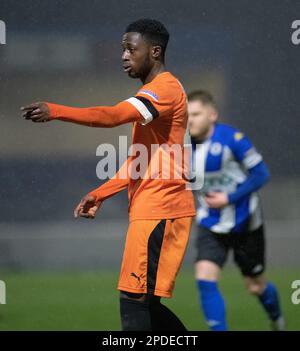 Chester, Cheshire, England. 14. März 2023 Peterborough Sports Johnson Gyamfi, während des Chester Football Club V Peterborough Sports Football Club im Deva Stadium, in der National League North (Bild: ©Cody Froggatt/Alamy Live News) Stockfoto