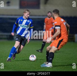 Chester, Cheshire, England. 14. März 2023 Chester's Matty Williams am Ball, während des Chester Football Club V Peterborough Sports Football Club im Deva Stadium, in der National League North (Bild: ©Cody Froggatt/Alamy Live News) Stockfoto