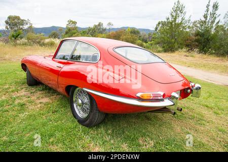 Roter Jaguar E Type FHC Sportwagen mit 1962 PS Stockfoto