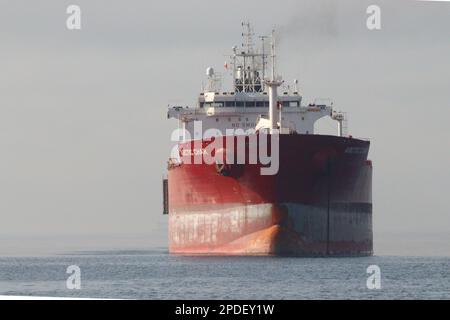 Der große Teil des arktischen Chars, ein 48.000 Tonnen schwerer Öltanker vor Anker im Hafen von Gibraltar, der hoch aus dem Wasser fuhr, nachdem er seine Fracht entladen hatte. Stockfoto