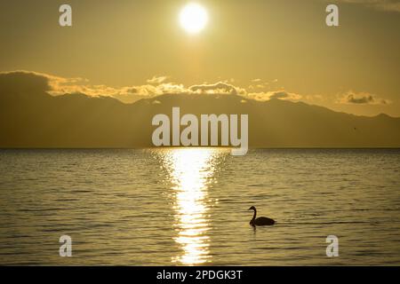 Die Berge und Gewässer rund um den Tarim-See sind eine einzigartige und wunderschöne Landschaft, die es wert ist, sie zu erleben Stockfoto