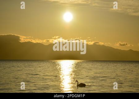 Die Berge und Gewässer rund um den Tarim-See sind eine einzigartige und wunderschöne Landschaft, die es wert ist, sie zu erleben Stockfoto