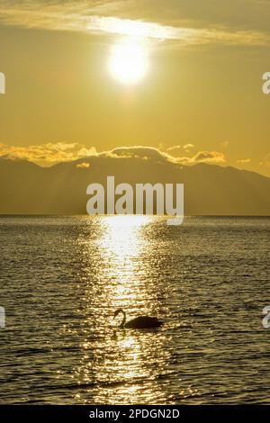 Die Berge und Gewässer rund um den Tarim-See sind eine einzigartige und wunderschöne Landschaft, die es wert ist, sie zu erleben Stockfoto