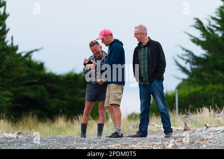 Drei neuseeländische Freunde, die zusammen telefonieren, lachen am Strand, Südinsel, Neuseeland. Stockfoto