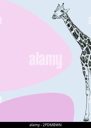 Minimalistisches Banner mit Giraffenskizze und abstrakten, stromlinienförmigen Formen, handgezeichnete Vektordarstellung Stock Vektor