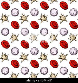 Blutzellen nahtloses Muster. Handgezogene Erythrozyten, Leukozyten und Thrombozyten. Wissenschaftlich-biologische Darstellung im Skizzenstil Stock Vektor