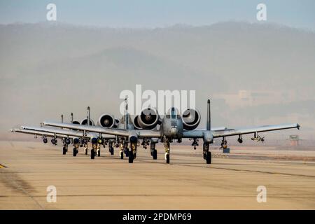 Luftwaffenstützpunkt Osan, Südkorea. 8. März 2023. Vier A-10C Thunderbolt II, die dem 25. Kampfgeschwader-Taxi auf der Landebahn zugewiesen wurden, vor dem Flug während der Buddy-Staffel 23-2 auf dem Osan-Luftwaffenstützpunkt, Republik Korea, 8. März 2023. Während der Schulung haben US- und ROKAF-Piloten die Interoperabilität der Kraftwerke durch die Anwendung von Luft-Luft- und Luft-Boden-Taktiken verbessert. Kredit: USA Air Force/ZUMA Press Wire Service/ZUMAPRESS.com/Alamy Live News Stockfoto