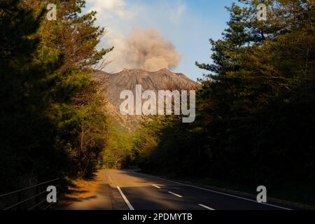 Sakurajima, Präfektur Kagoshima, Japan. 14. März 2023. Der Ausbruch des Stratovulkans vor der Kirschblüte von Sakura.Sakurajima (æ¡œå³¶) ist ein zusammengesetzter Vulkan im Süden von Kyushu, Japan, und ist Teil der Aira Caldera. Sein Name bedeutet „Cherry Blossom Island“, aufgrund der vielen Kirschbäume, die auf der Insel wuchsen, bevor sie mit dem Festland verbunden wurden. Der Vulkan entlang des Pacific Ring of Fire hat eine lange Geschichte von Eruptionen, mit Aufzeichnungen aus dem 8. Jahrhundert. Es ist seit 1955 besonders aktiv, mit häufigen kleinen Eruptionen und occ Stockfoto