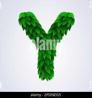 Buchstaben aus frischen grünen Blättern. Abbildung des Buchstabens Y. Vektor Stock Vektor