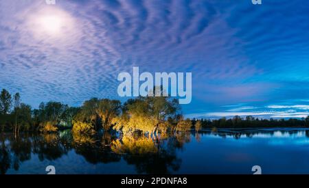 Panorama-Nachtlandschaft mit Bäumen, die im Wasser während der Frühlingsflut Hochwasser im Mondlicht stehen. Bäume Wälder im Wasser überfluten während Eines Frühlings Stockfoto