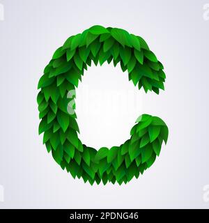 Buchstaben aus frischen grünen Blättern. Buchstabe C. Vektordarstellung Stock Vektor