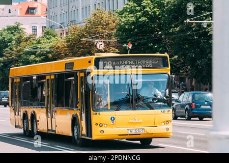 Minsk, Weißrussland - 1. Juli 2021: Gelber MAZ-Stadtbus fährt an sonnigen Sommertagen entlang der Stadtstraße. Öffentlicher MAZ-Bus auf der Sommerstraße in Minsk. Route Stockfoto