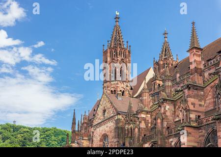 der dom im Zentrum von freiburg deutschland Stockfoto